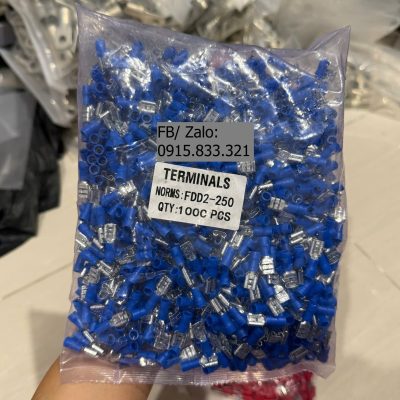 cos giac cam fdd cai mau xanh